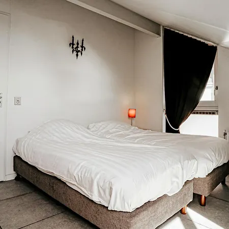 House In 446 *